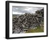 Dry Stone Wall on the Burren, County Clare, Munster, Republic of Ireland-Gary Cook-Framed Photographic Print