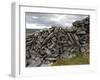 Dry Stone Wall on the Burren, County Clare, Munster, Republic of Ireland-Gary Cook-Framed Photographic Print