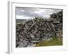 Dry Stone Wall on the Burren, County Clare, Munster, Republic of Ireland-Gary Cook-Framed Photographic Print