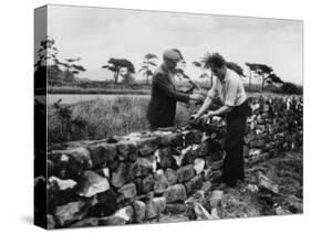 Dry Stone Walling-null-Stretched Canvas