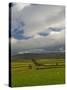 Dry Stone Walls Below the Pennines, Eden Valley, Cumbria, England, United Kingdom-James Emmerson-Stretched Canvas