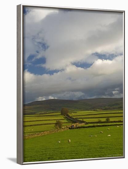 Dry Stone Walls Below the Pennines, Eden Valley, Cumbria, England, United Kingdom-James Emmerson-Framed Photographic Print