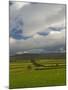 Dry Stone Walls Below the Pennines, Eden Valley, Cumbria, England, United Kingdom-James Emmerson-Mounted Photographic Print