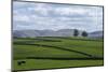 Dry Stone Walls, Eden Valley, Cumbria, England, United Kingdom, Europe-James Emmerson-Mounted Photographic Print