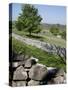 Dry Stone Walls, Hartington, Peak District, Derbyshire, England, United Kingdom, Europe-Frank Fell-Stretched Canvas