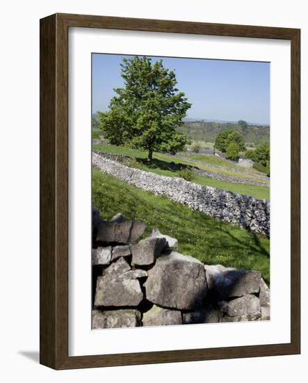 Dry Stone Walls, Hartington, Peak District, Derbyshire, England, United Kingdom, Europe-Frank Fell-Framed Photographic Print