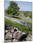 Dry Stone Walls, Hartington, Peak District, Derbyshire, England, United Kingdom, Europe-Frank Fell-Mounted Photographic Print