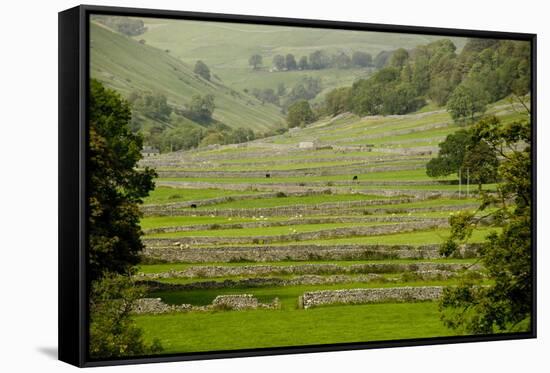 Dry-Stone Walls of Limestone-Tony Waltham-Framed Stretched Canvas