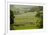 Dry-Stone Walls of Limestone-Tony Waltham-Framed Photographic Print