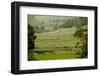 Dry-Stone Walls of Limestone-Tony Waltham-Framed Photographic Print