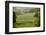 Dry-Stone Walls of Limestone-Tony Waltham-Framed Photographic Print