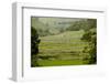 Dry-Stone Walls of Limestone-Tony Waltham-Framed Photographic Print