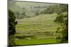 Dry-Stone Walls of Limestone-Tony Waltham-Mounted Photographic Print