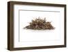 Dry Tea-Fabio Petroni-Framed Photographic Print