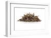 Dry Tea-Fabio Petroni-Framed Photographic Print