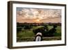 Dry Tortugas National Park, Florida - Sunset and Cannon-Lantern Press-Framed Art Print