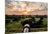 Dry Tortugas National Park, Florida - Sunset and Cannon-Lantern Press-Mounted Premium Giclee Print