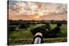 Dry Tortugas National Park, Florida - Sunset and Cannon-Lantern Press-Stretched Canvas