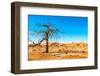 Dry Tree-milosk50-Framed Premium Photographic Print