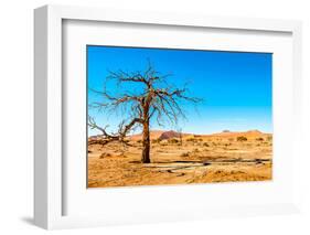 Dry Tree-milosk50-Framed Premium Photographic Print