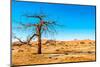 Dry Tree-milosk50-Mounted Premium Photographic Print