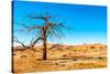 Dry Tree-milosk50-Stretched Canvas