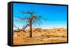 Dry Tree-milosk50-Framed Stretched Canvas