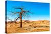 Dry Tree-milosk50-Stretched Canvas