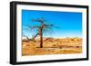 Dry Tree-milosk50-Framed Photographic Print