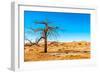 Dry Tree-milosk50-Framed Photographic Print