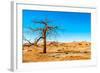 Dry Tree-milosk50-Framed Photographic Print