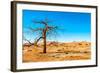 Dry Tree-milosk50-Framed Photographic Print