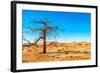 Dry Tree-milosk50-Framed Photographic Print