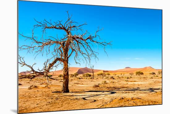 Dry Tree-milosk50-Mounted Photographic Print