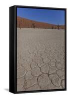 Dry Trees in Namib Desert-DR_Flash-Framed Stretched Canvas