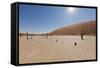 Dry Trees in Namib Desert-DR_Flash-Framed Stretched Canvas