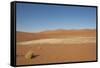 Dry Trees in Namib Desert-DR_Flash-Framed Stretched Canvas