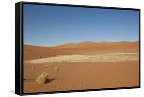Dry Trees in Namib Desert-DR_Flash-Framed Stretched Canvas