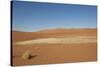 Dry Trees in Namib Desert-DR_Flash-Stretched Canvas
