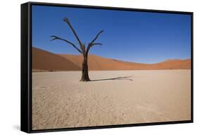 Dry Trees in Namib Desert-DR_Flash-Framed Stretched Canvas