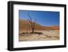 Dry Trees in Namib Desert-DR_Flash-Framed Photographic Print