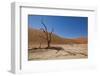 Dry Trees in Namib Desert-DR_Flash-Framed Photographic Print