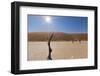 Dry Trees in Namib Desert-DR_Flash-Framed Photographic Print