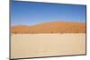 Dry Trees in Namib Desert-DR_Flash-Mounted Photographic Print