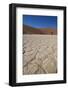 Dry Trees in Namib Desert-DR_Flash-Framed Photographic Print