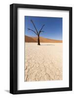 Dry Trees in Namib Desert-DR_Flash-Framed Photographic Print