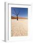 Dry Trees in Namib Desert-DR_Flash-Framed Photographic Print