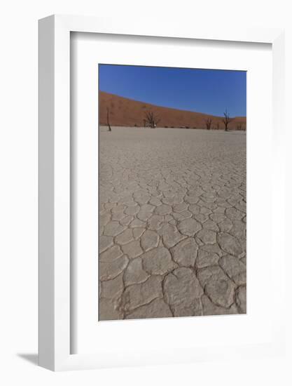 Dry Trees in Namib Desert-DR_Flash-Framed Photographic Print