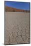 Dry Trees in Namib Desert-DR_Flash-Mounted Photographic Print