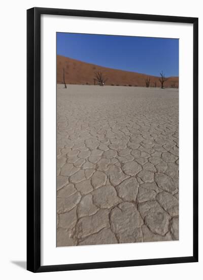 Dry Trees in Namib Desert-DR_Flash-Framed Photographic Print